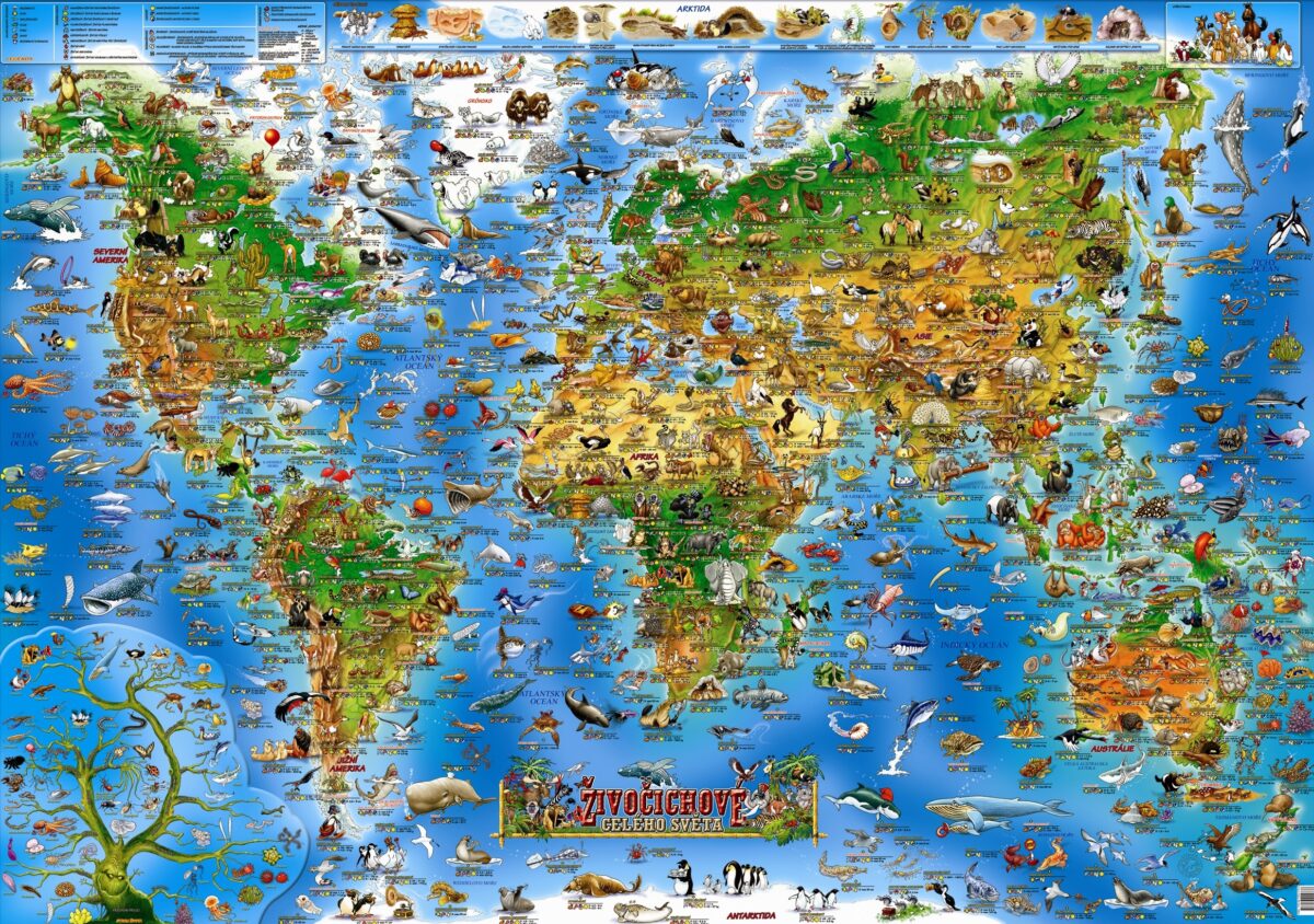 Mapa světa státy celého světa zvířata na mapě